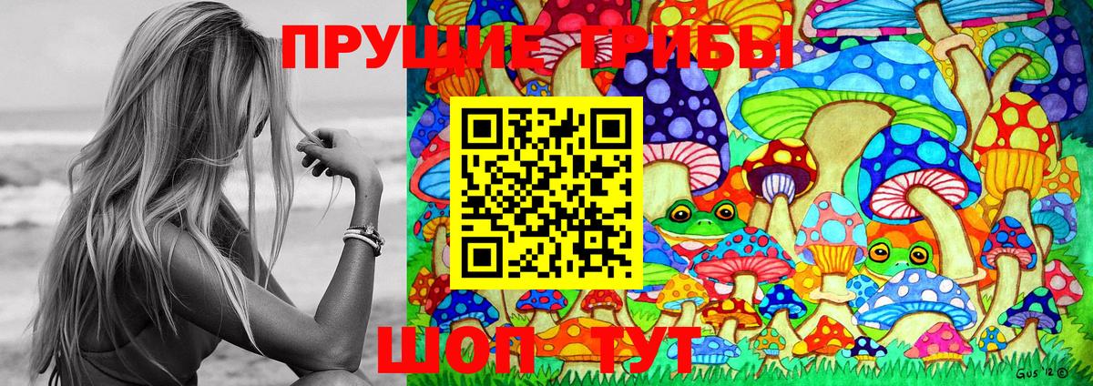 Галлюциногенные грибы Psilocybine cubensis  Вход с VPN  Приморско-Ахтарск  Галлюциногенные грибы мухоморы 