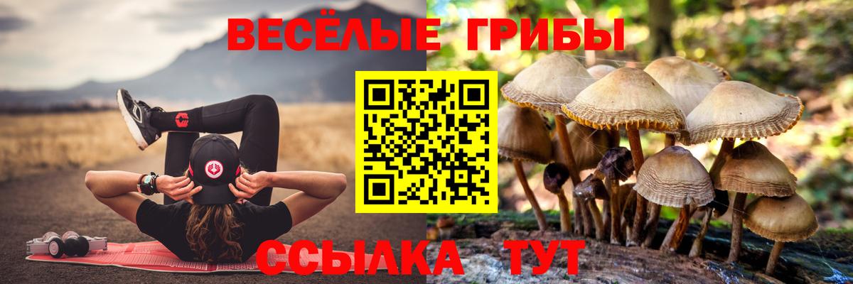 Галлюциногенные грибы мицелий Приморско-Ахтарск